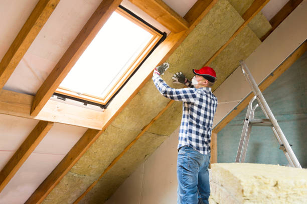 Best Eco-Friendly Insulation Solutions  in Loveland, CO